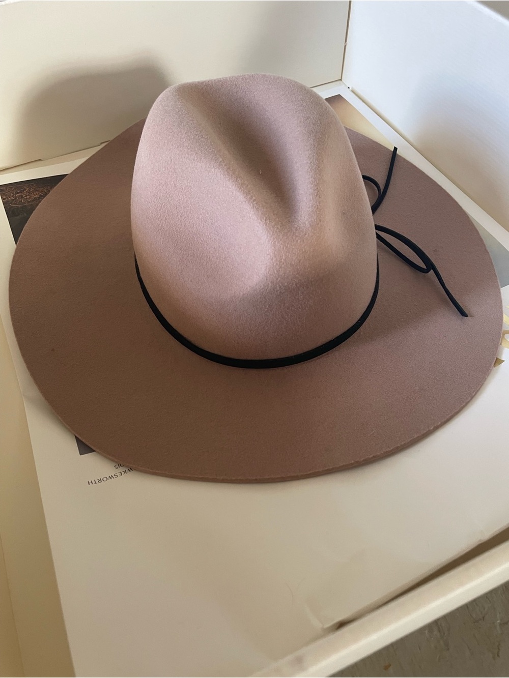 Aritzia Wide-Brim Felt Hat in Mauve with Black Band